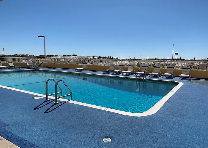 Driftwood Towers #1f - Palm View Apartment *